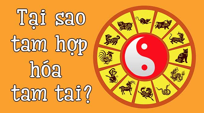 tam hợp hóa tam tai