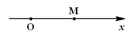 hệ tọa độ 1 trục Ox