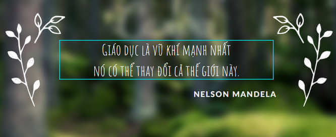 THPT Ngô Thì Nhậmvn dn6