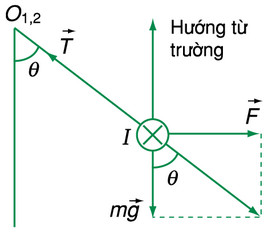 phân tích lực từ