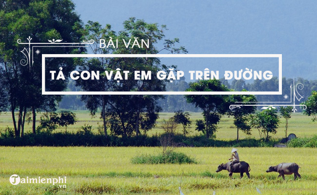 ta con vat em gap tren duong