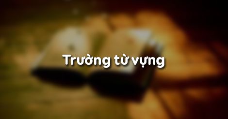 Trường từ vựng là gì? Ví dụ về trường từ vựng chi tiết, dễ hiểu nhất