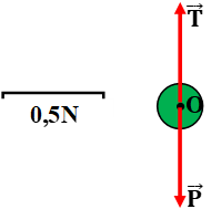 Bài C1 (trang 17 SGK Vật Lý 8)