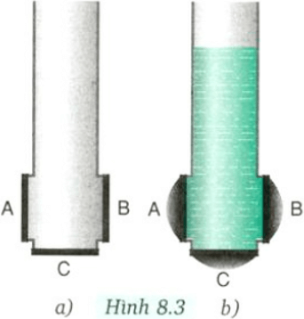 Bài C1 (trang 28 SGK Vật Lý 8)