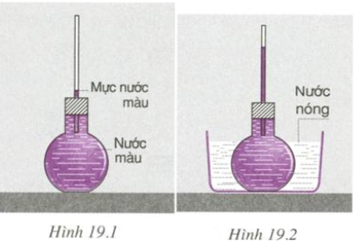 Bài C1 (trang 60 SGK Vật Lý 6)