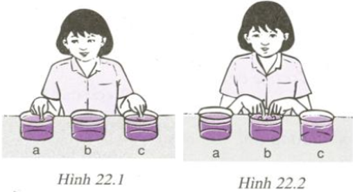 Bài C1 (trang 68 SGK Vật Lý 6)