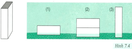 Bài C2 (trang 26 SGK Vật Lý 8)