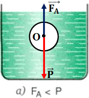 Bài C2 (trang 43 SGK Vật Lý 8)