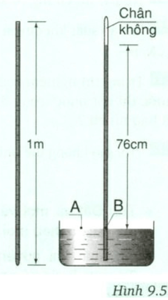 Bài C5 (trang 34 SGK Vật Lý 8)