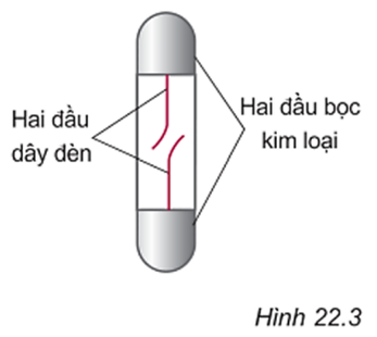 Bài C5 (trang 61 SGK Vật Lý 7)