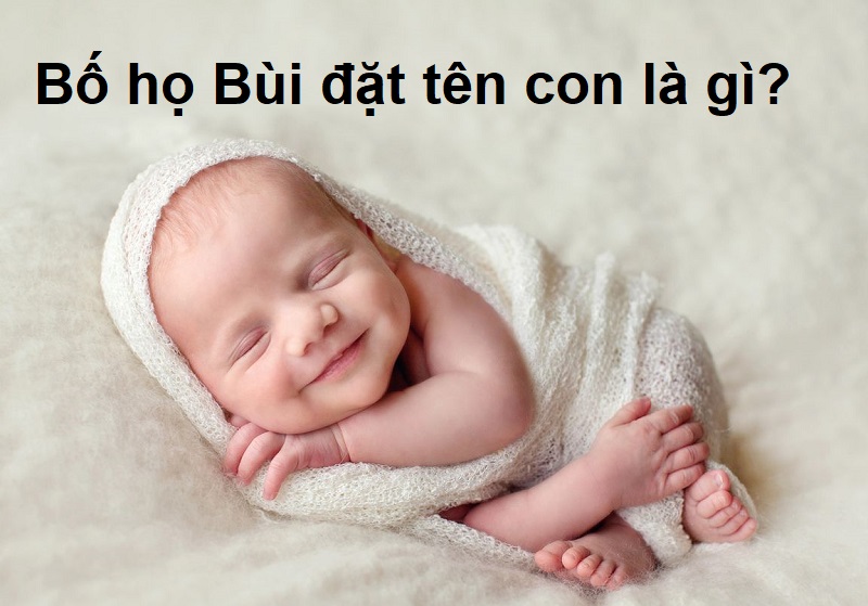 bo-ho-bui-nen-dat-ten-con-la-gi Bố họ Bùi nên đặt tên con là gì? Đặt tên cho con họ Bùi