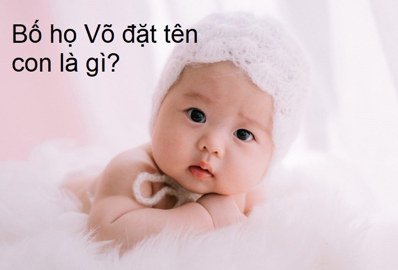 bo-ho-vo-nen-dat-ten-con-la-gi-01 Bố họ Võ nên đặt tên con là gì? Tên hay cho con trai họ Võ, tên hay cho con gái họ Võ