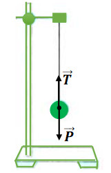 các lực cân bằng tác dụng lên quả cầu