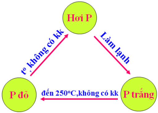 chuyển đổi giữa photpho đỏ và photpho trắng