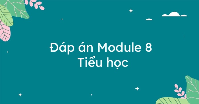 Đáp án Module 8 Tiểu học: Phối hợp giữa nhà trường, gia đình và xã hội để thực hiện giáo dục đạo đức, lối sống cho học sinh trường tiểu học.