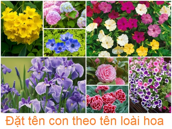 Cách đặt tên con theo tên các loài hoa, tên hay cho con gái theo tên loài hoa