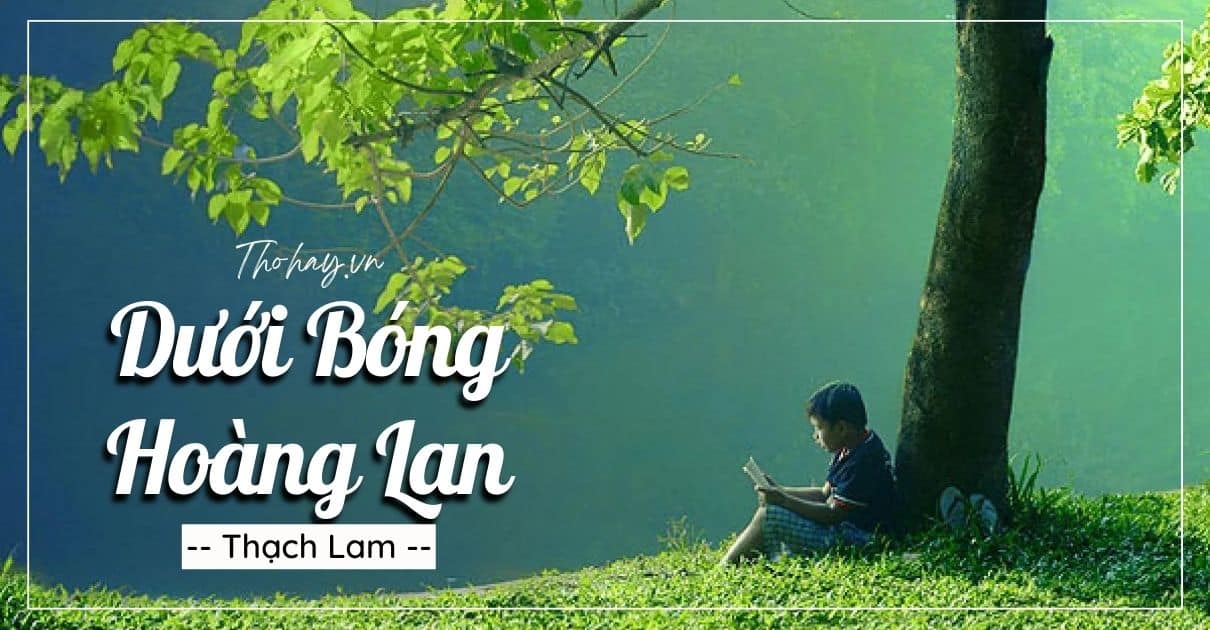 Viết đoạn văn khoảng 150 chữ phân tích tâm trạng nhân vật Thanh ở đoạn văn cuối của phần kết truyện Dưới bóng hoàng lan.