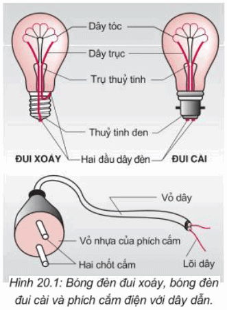 hinh 201 câu c1 trang 55 sgk vật lý 7