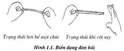 Tóm tắt lý thuyết Vật Lí 6 Bài 9