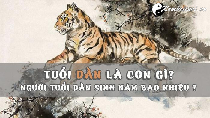 nam-1962-la-nam-con-gi-sinh-nam-1962-la-menh-gi-tuoi-gi