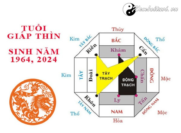 nam-1964-la-nam-con-gi-sinh-nam-1964-la-menh-gi-tuoi-gi