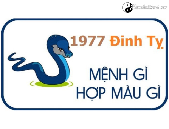 nam-1977-la-nam-con-gi-sinh-nam-1977-la-menh-gi-tuoi-gi