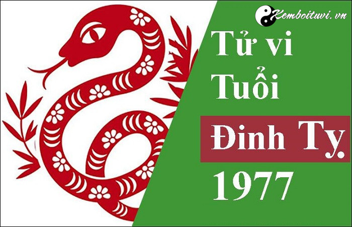 nam-1977-la-nam-con-gi-sinh-nam-1977-la-menh-gi-tuoi-gi