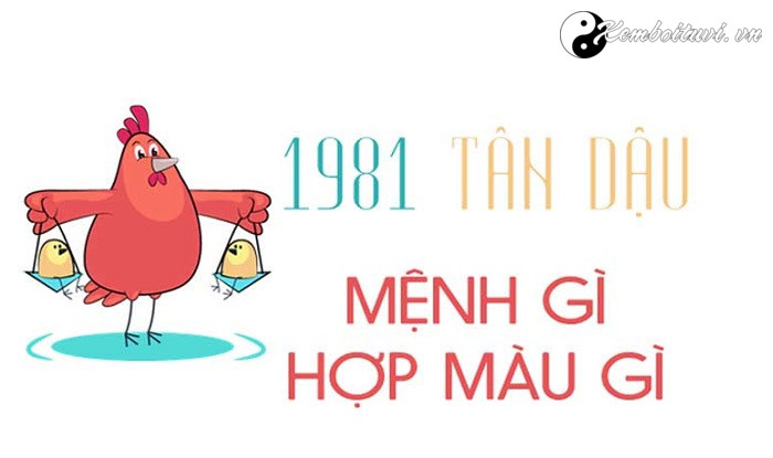 nam-1981-la-nam-con-gi-sinh-nam-1981-la-menh-gi-tuoi-gi