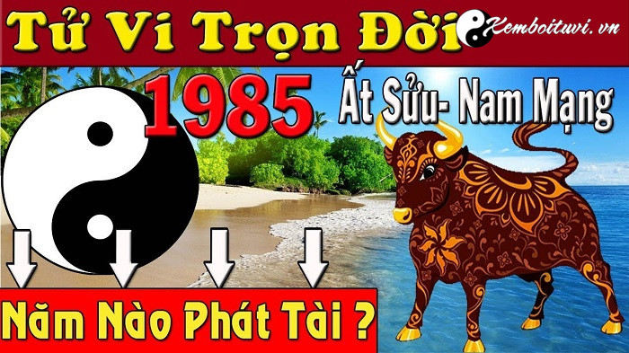 nam-1985-la-nam-con-gi-sinh-nam-1985-la-menh-gi-tuoi-gi