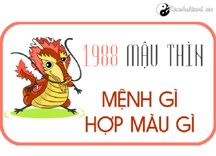 nam-1988-la-nam-con-gi-sinh-nam-1988-la-menh-gi-tuoi-gi