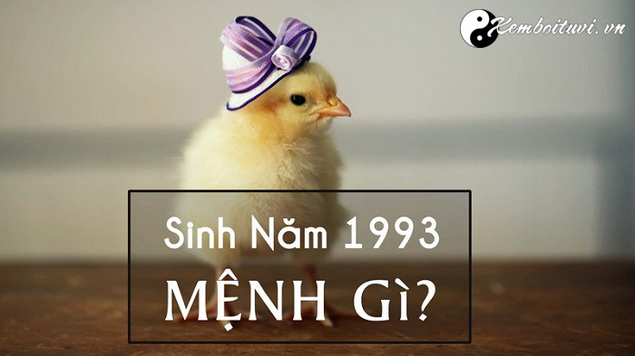 nam-1993-la-nam-con-gi-sinh-nam-1993-la-menh-gi-tuoi-gi