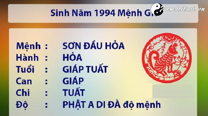 nam-1994-la-nam-con-gi-sinh-nam-1994-la-menh-gi-tuoi-gi