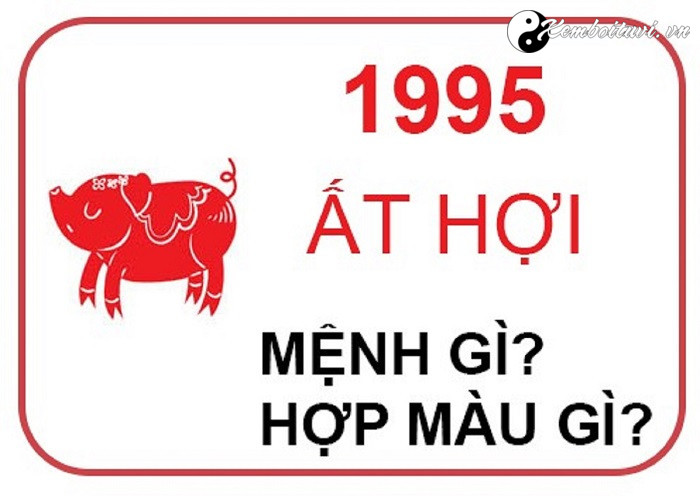 nam-1995-la-nam-con-gi-sinh-nam-1995-la-menh-gi-tuoi-gi