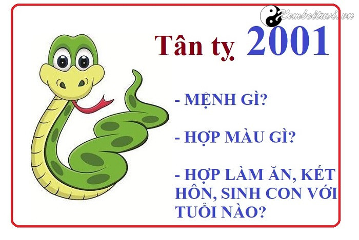 Năm 2001 là năm con gì? Sinh năm 2001 là mệnh gì? Tuổi gì?