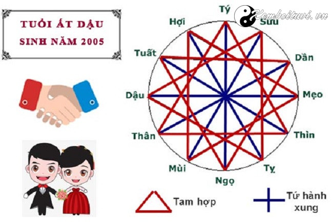 nam-2005-la-nam-con-gi-sinh-nam-2005-la-menh-gi-tuoi-gi