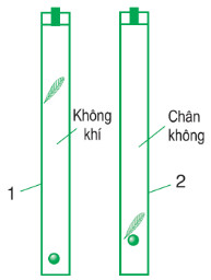 ống newton