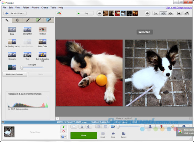 Picasa