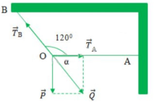 phân tích lực bài 8 trang 58 sgk vật lý 10