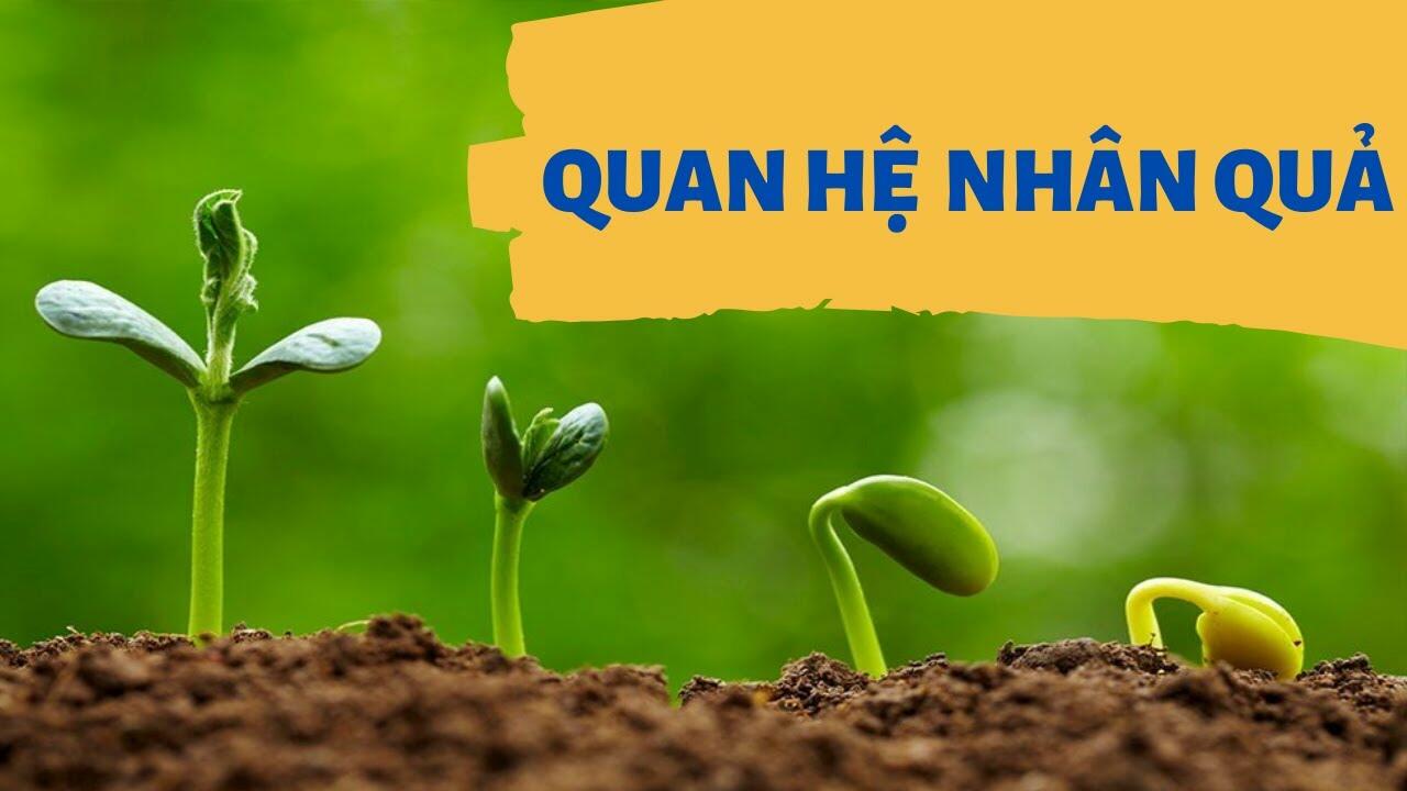 Quan hệ nhân quả là gì? Cặp phạm trù nguyên nhân - kết quả?