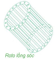 roto lồng sóc