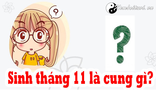 sinh-thang-11-la-cung-gi