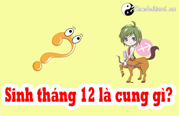 sinh-thang-12-la-cung-gi