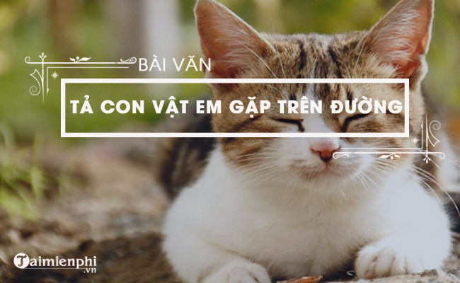 ta con vat em chot gap tren duong