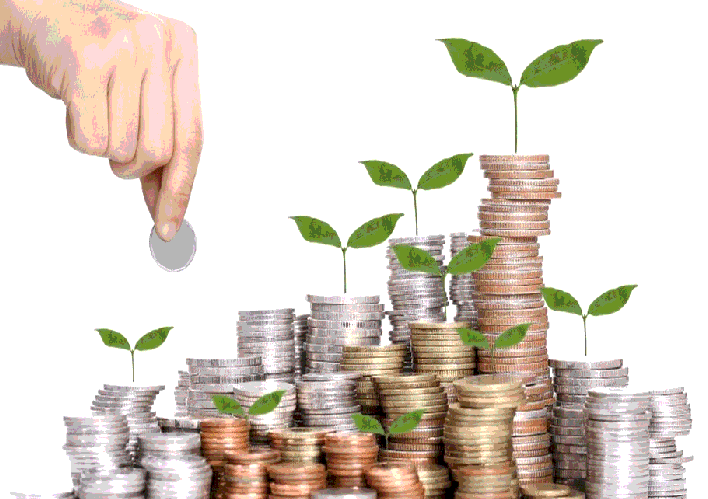 Tập trung tư bản là gì?