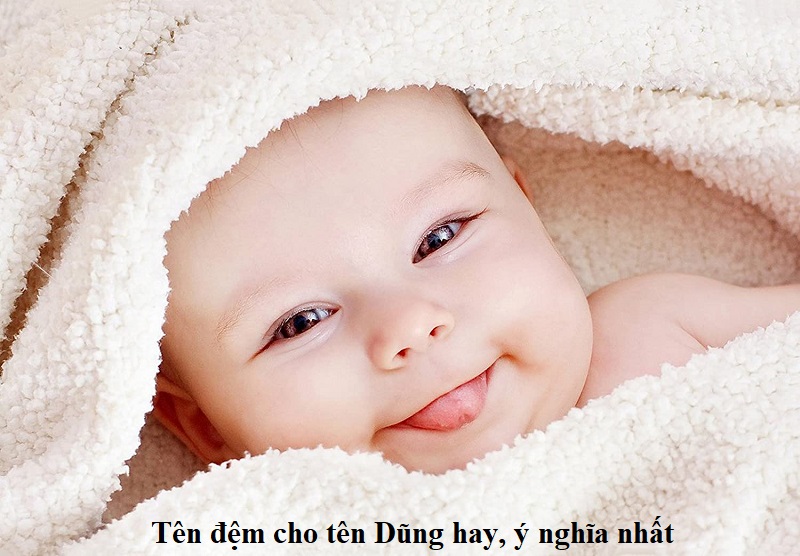 Tên đệm cho tên Dũng hay nhất