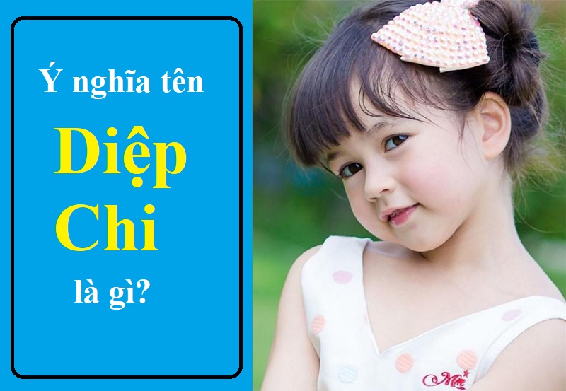 Tên Diệp Chi có ý nghĩa gì? Ý nghĩa của tên Diệp Chi