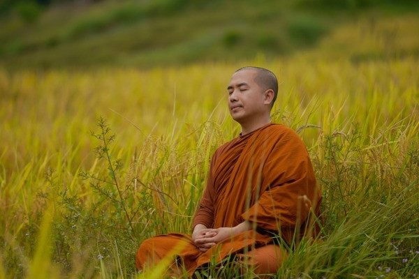 Những thành tựu và đóng góp của Thầy Minh Niệm