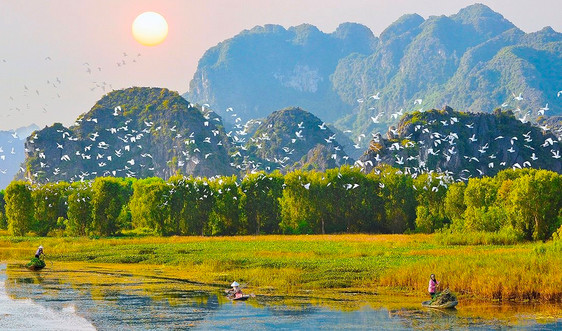 Thiên nhiên là gì?