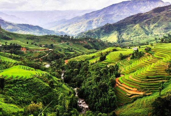 Tỉnh nào không giáp biển ở nước ta?Không giáp biển đem lại lợi ích gì?