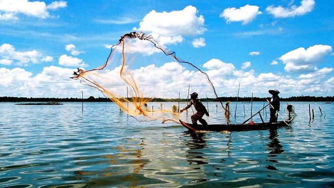 Viết đoạn văn ngắn cảm nhận về bài thơ Quê hương của Tế Hanh